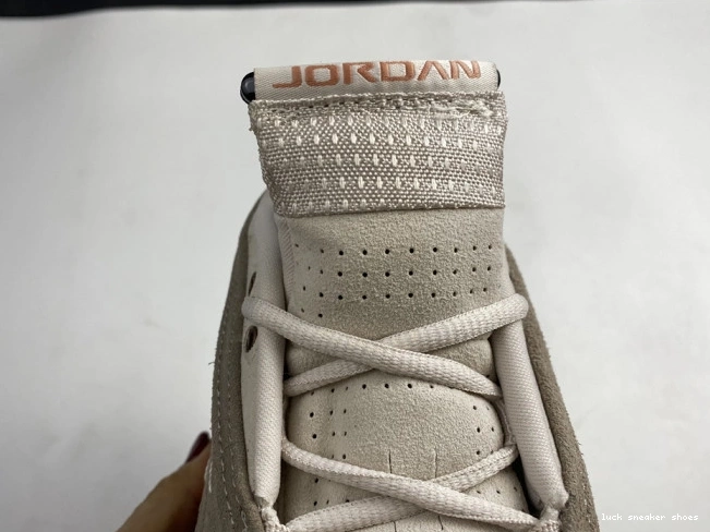 Rep LUCY Jordan Low 14 DC9857-200 Terra Clot AIR Blush Retro 0728